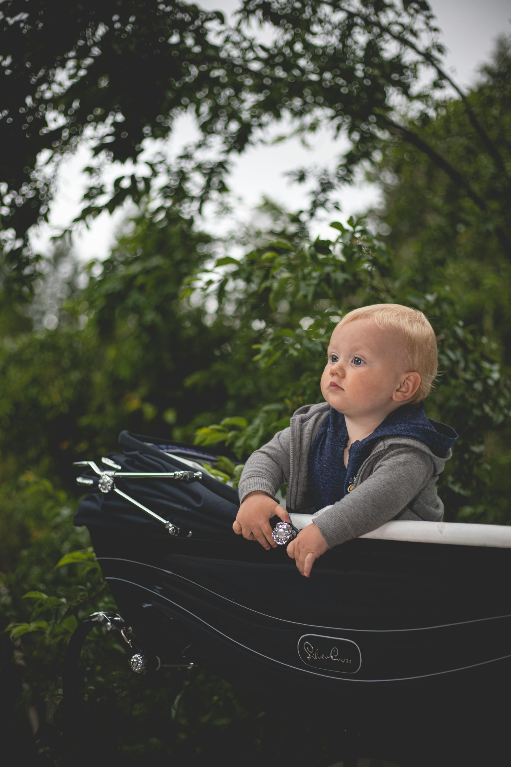Charming baby boy in a stylish stroller amidst lush greenery, exuding innocence and wonder.